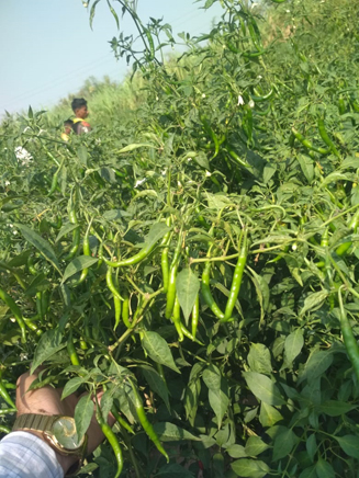 Altret product results