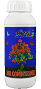 Offer Banner